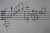Note della musicista Caterinangela Fadda - 50 x 70 - penna biro